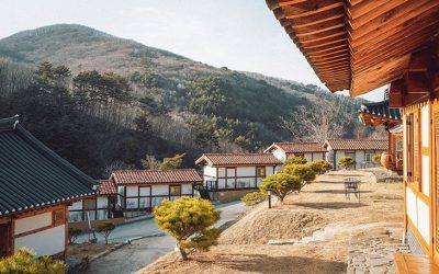 Cohousing vida comunitaria y sostenible