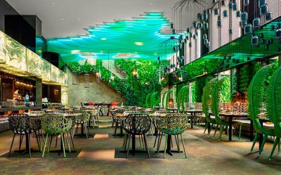 La Biofilia en interiorismo